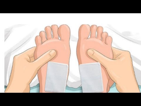 일본 동전파스