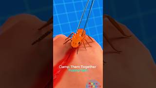 Army Mindset, Ant System #viral #shorts #usa #california #neonlegacy