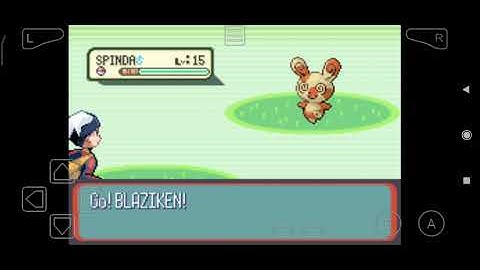 Pokémon Ruby - Route 113