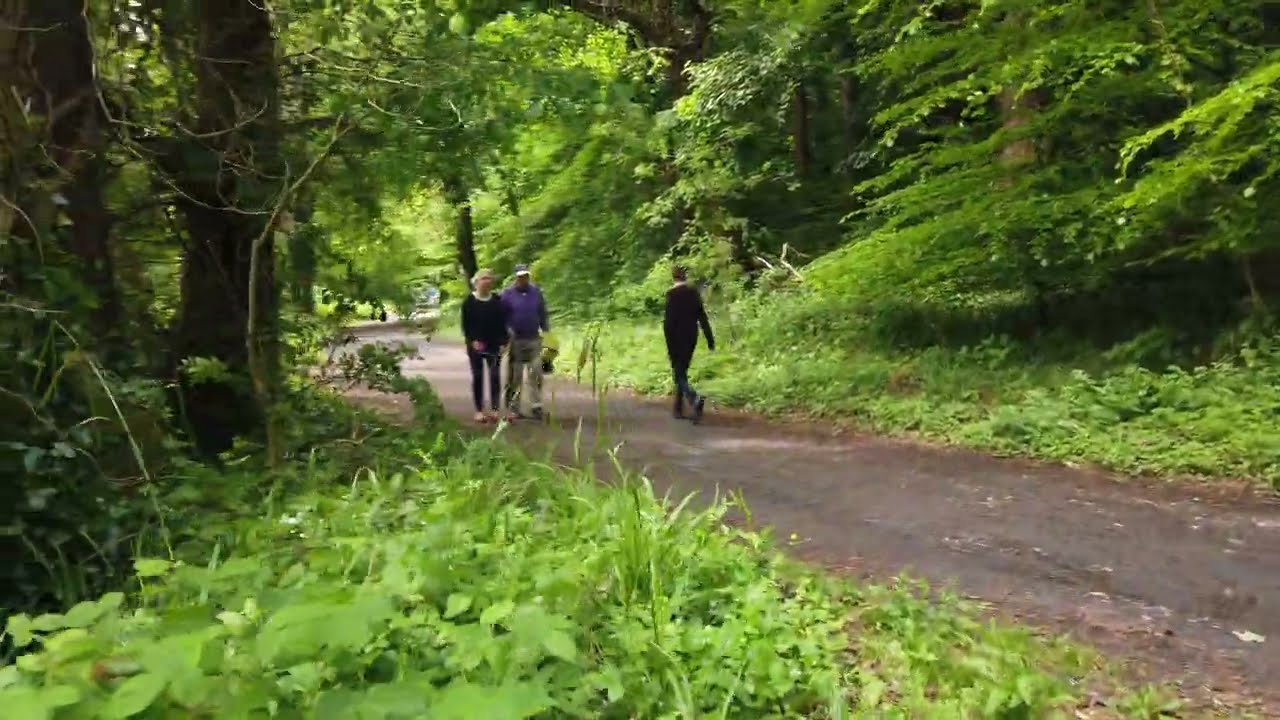 4K Relaxing Walk - WestPort House Park