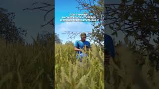 Кадр из видео: Растеры, заходите в гости 😁 я буду рад вам #раст #rustgame