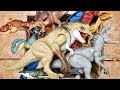 Hunting Jurassic World Dinosaur Toy ASMR Review