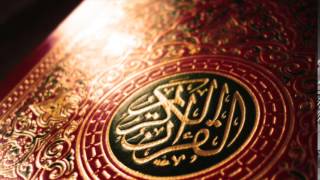 توفيق الصائغ - سورة الانفال