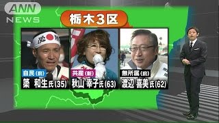 【衆院選の注目選挙区】　栃木3区　3氏が激戦(14/12/11)