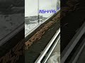 High Capacity Biomass Wood Sawdust Pellet Production Line, Fuel Plant, Flat Die Pellet Machine
