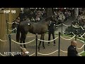 Hip 98, Gun Runner - Wild Forest, sells for $1.5 Million at 2026 Keeneland September