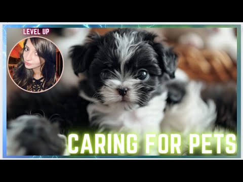 Save, Train, and Care for Cats and Dogs: 9 Essential Tips and Hacks for Pet Owners