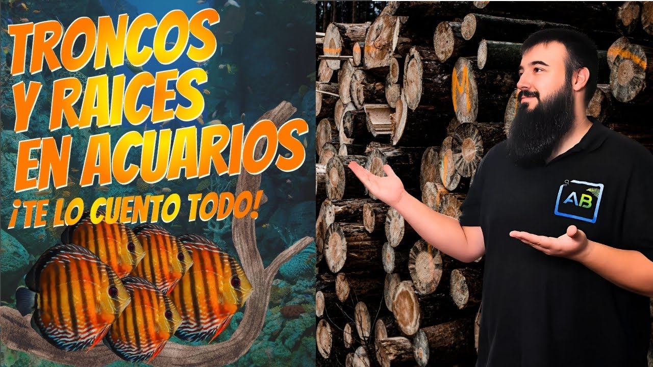 🌴Guía Definitiva de TRONCOS y RAÍCES en Acuarios 🐟 Tipos, Cuidados y Trucos