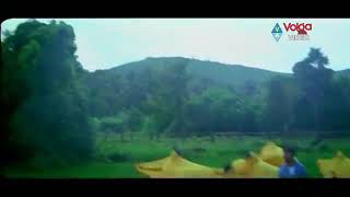 Neredu pallanti kallu full video song...