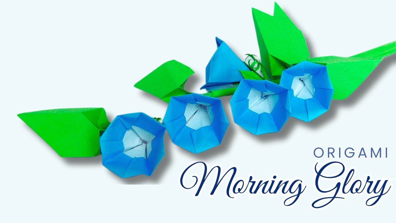 🌸Origami Flower: MORNING GLORY / Gloire du matin (Katrin Shumakov)