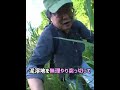 【廃道＆廃トンネル】90年前の通学路の今～市原吉沢の日天様トンネル&天神様トンネル #Shorts #廃隧道