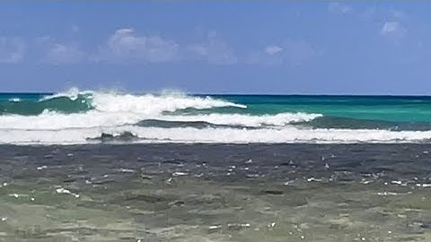 Kala Throw Net Hawaii - Working out the Fish Eye