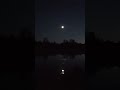 Bats & Stars of Helldiver Pond  #wildlife #astrophotography