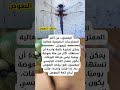 يعسوب صغير لكنه العدو الأول للبعوض كيف يحمي البيئة معلومات اكسبلور اليعسوب 