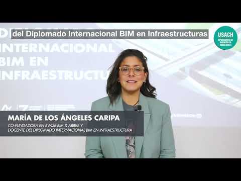 Diplomado Internacional BIM