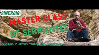 MASTER CLASS DE SERPIENTES