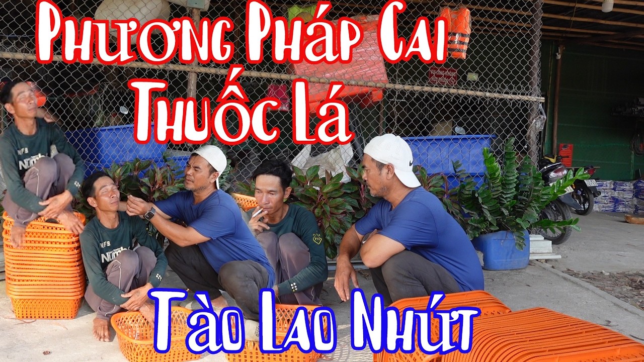 10 Râu Hướng Dẫn Bà 8 Phong Cai Thuốc Lá Không Thể Tào Lao Hơn