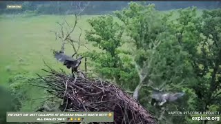 FATHER'S DAY NEST COLLAPSE AT DECORAH EAGLES NORTH NEST! 😟 ALL EAGLES ARE SAFE! 🦅🐥🙏🐥🦅 6/16/24