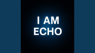 Echo in the Wires