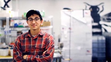 Shoeboxed for Small Business Owners