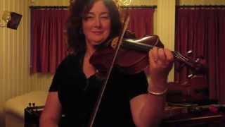 Violin or viola
