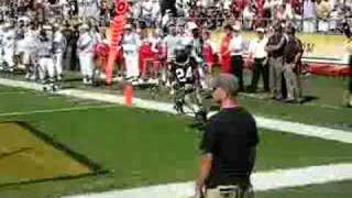 Famous Purdue's Curtis Painter throws a TD pass to Kory Sheets Profile
