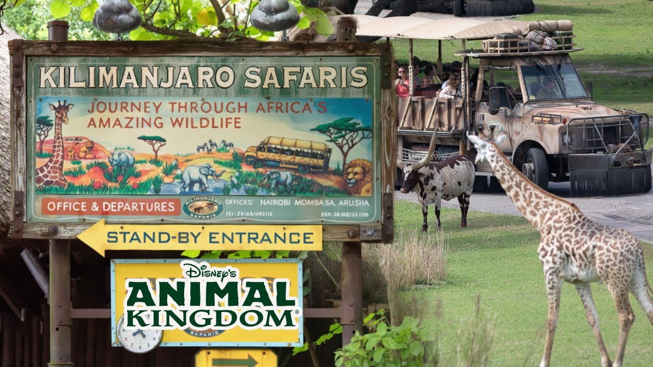 Видео от первого лица во время сафари на Килиманджаро — Парк животных Диснея.