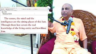 [SB 6.1.65] Unbridled Sense Gratification | HG Sundar Gopāl Prabhu