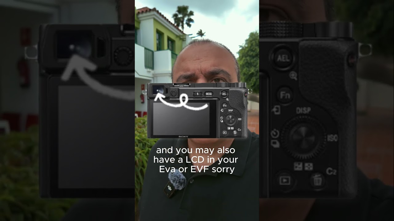 LCD Screen vs Electronic Viewfinder What You NEED To Know!
