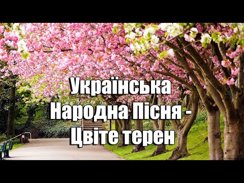 Українська Народна Пісня Цвіте терен