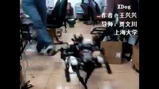 XDog : Small Four Legged Robot  (balance test)