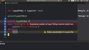 Swift Day 11   type of class