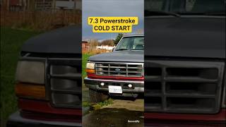 1996 Ford F250 with the 7.3L Powerstroke International Harvester. COLD START