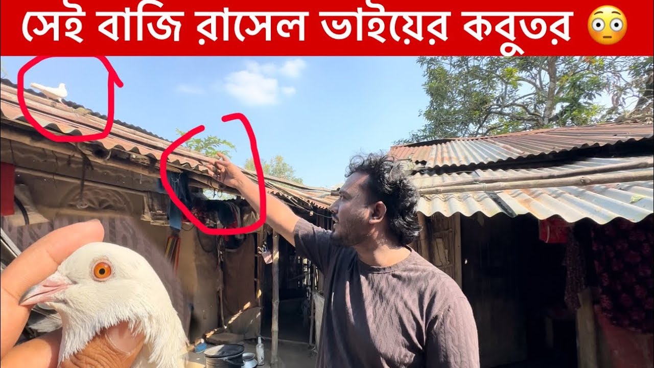 কবুতর ১০ দিন পর ছাড়বো 😳 || রাসেল ভাইয়ের কবুতর খামার 😳|| সেই বাজি রাসেল ভাইয়ের কবুতর এর 🔥||