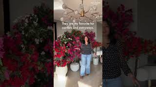 We Like It, We Buy It in Every Colour | Mason Home #HomeDecor