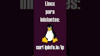 Descubra o IP público do Linux em 1 comando [curl ipinfo.io] | Linux para iniciantes