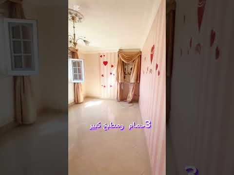 شقه للبيع في رشدي شارع مصطفى كامل ترام مصطفى كامل 285متر