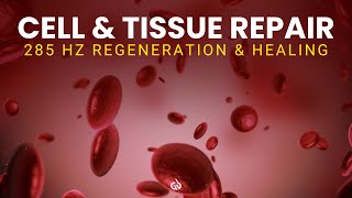 Cell Regeneration & Healing: 285 Hz Full Body Tissue Repair Frequency