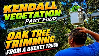 Kendall Vegetation, Part Four, Oak Tree Trimming from A Bucket Truck, 7 0 2026