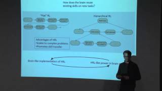 Daniel Rasmussen - Modelling adaptive behaviour via hierarchical reinforcement learning Wealth