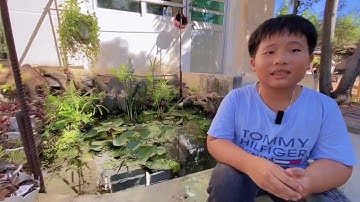 MC nhí Quốc Huy giới thiệu trường Tiểu học Bắc Phan Thiết.