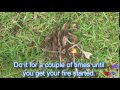 Pahlawan Survival 4 in 1 Bracelet:- Tool#l 4 Firestarter