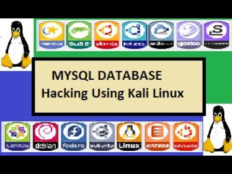 how to hack mysql db of vulnerable website using kali linux