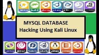 Famous how to hack mysql db of vulnerable website using kali linux Wealth