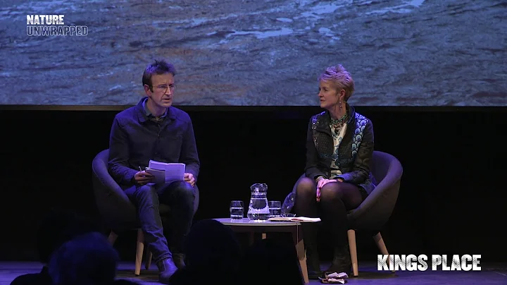 Julie Brook & Robert Macfarlane: Firestacks: Tide,...