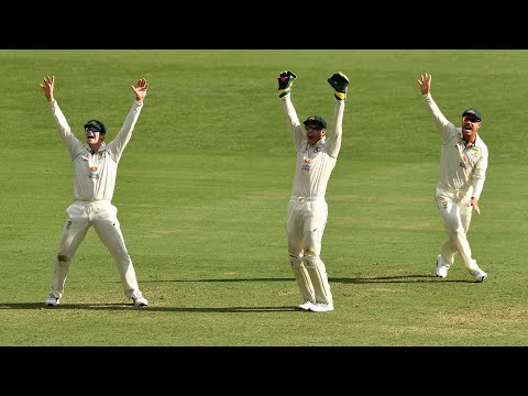 'That was a pretty special innings today': Smith | Vodafone Test Series 2020-21