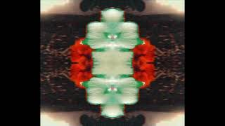 DTB - AURA GIRL (Audio)