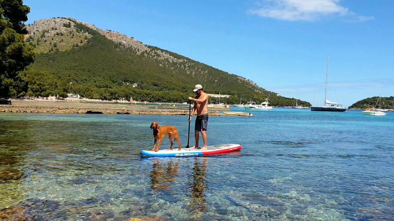🇪🇦 Paddle surf with a lovely dog 😍 Formentor beach 🏖 Mallorca 🏝 SPAIN 🌍 14 June 2021 | 4K