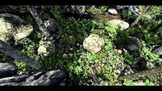 Realistic Forest - Official Teaser Trailer
