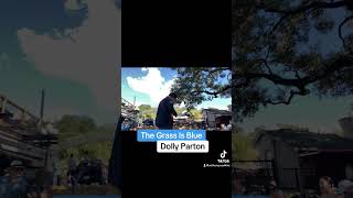The Grass Is Blue by Dolly Parton - live at Mozart’s (Austin, TX) #acousticcover #singersongwriter